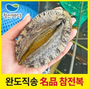 청산바다 완도직송 활전복 특대 8-9미 1.5kg 12-14마리_이미지