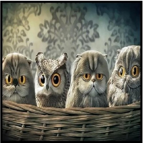 피포페인팅 DIY 명화그림그리기 Q3334 아기부엉이_이미지