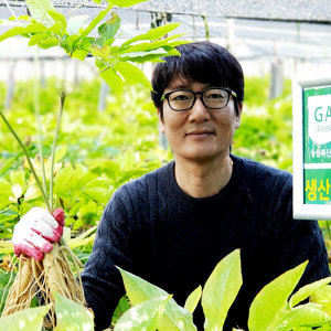  한국인삼유통공사 고려인삼 600g 인삼한뿌리 2000원꼴 20