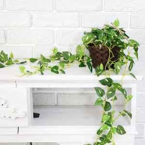 조아트 행잉플랜트 공중식물 조화 담쟁이 넝쿨 장식 바구니넝쿨 스킨