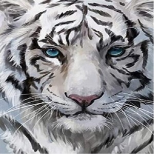피포페인팅 DIY그림그리기셋트 MSZ159백호 size 40x50cm