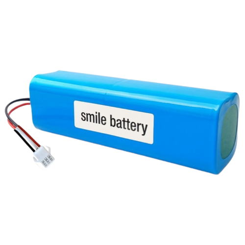 샤오미 라이드스토, 아이닉, 로이드미 호환 리튬 이온 배터리 5,000mAh_이미지