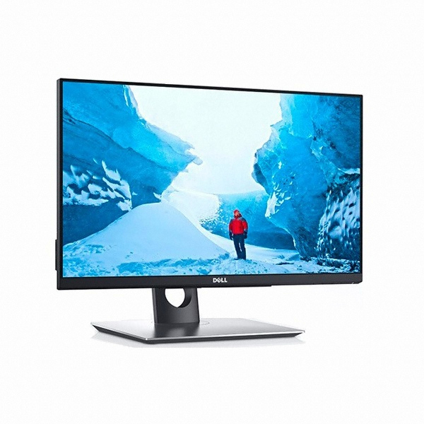 DELL P2418HT