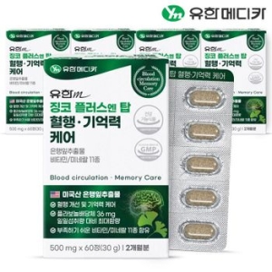 유한메디카 징코 플러스 엔 탑 혈행 기억력 케어 500mg 60정