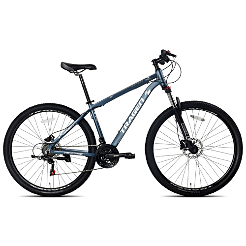 ���ؽ������� Ʈ���� TM-2900D (2022����)