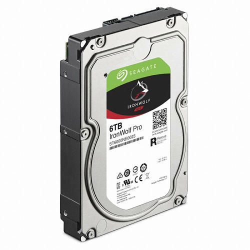 Seagate IronWolf Pro 7200/256M/해외구매 (6TB, ST6000NE0023)_이미지
