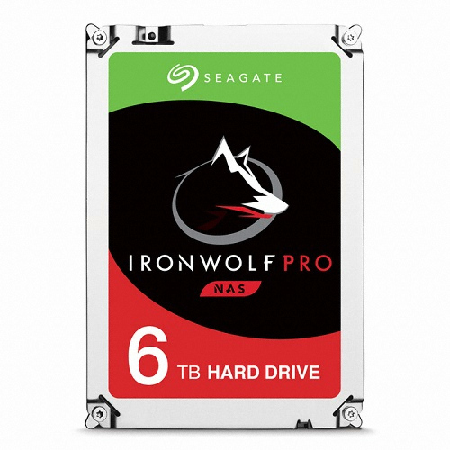 Seagate IronWolf Pro 7200/256M/해외구매 (6TB, ST6000NE0023)