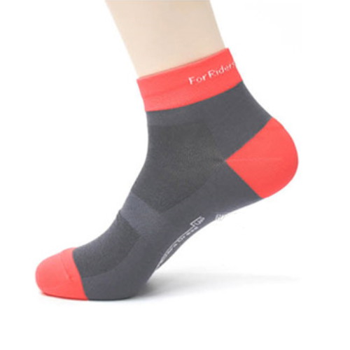 ���� ����Ŭ�� ������ �縻