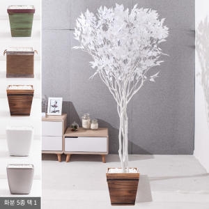 플라워트리 플라워트리 라인-화이트자작나무화분set 240cm  조화  FREOFT이미지입니다. 누르면 해당 게시물로 새창이동합니다.