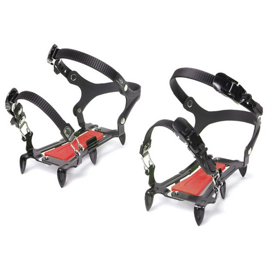 ������������ ��� ����Ŭ 6�� ������