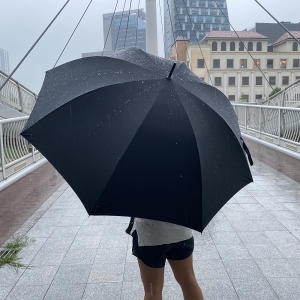 [불명] 위즈덤우산 초경량 대형 75 풀카본 장우산이미지입니다. 누르면 해당 게시물로 새창이동합니다.