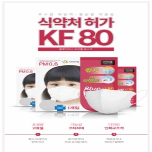  블루인더스 미세먼지 황사마스크 소형 KF80 [10개]