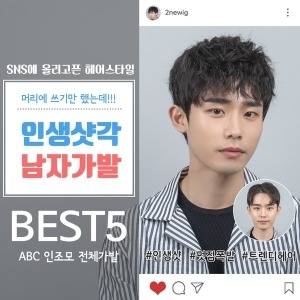  ABC 전체가발 5종 스타일굿 인조모 남자헤어 군인가발