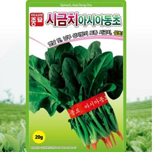 아세아 동초시금치 씨앗 월동 시금치 씨 종자 20g_이미지