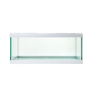 와이피 낮은 어항 50cm 화이트 50 x 28 x 22 cm