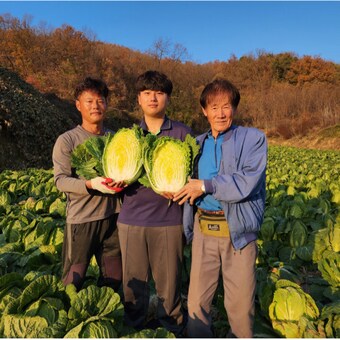 괴산클라스 절임배추 <b>20kg</b>