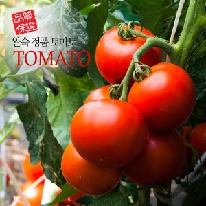 원시인농산 완숙찰토마토 2kg 맛보기_이미지