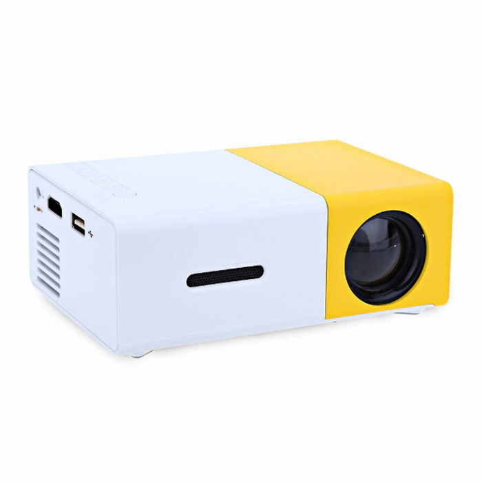 YG300