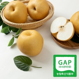 달찐과일 나주배 가정용 5~7과 5kg (1개)_이미지