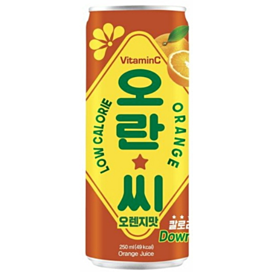 동아오츠카 오란씨 오렌지 250ml