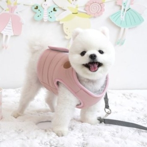 패리스독 뉴파스텔 패딩 하네스 (S~XL)_이미지