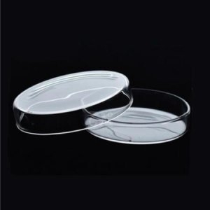 [�Ҹ�] 90mm������Ʈ���� ���� 2�� JS-42391