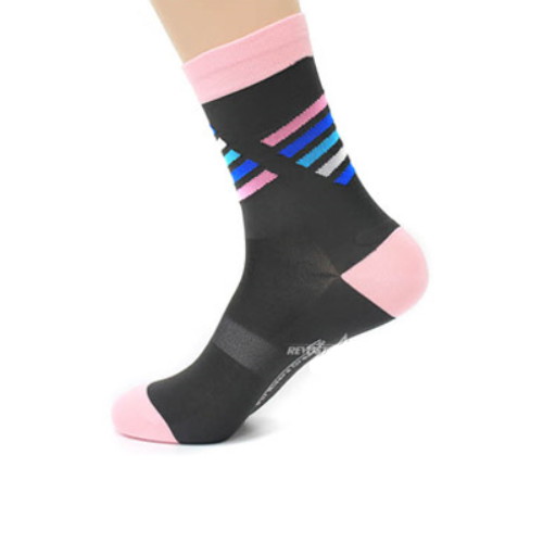 ���� ����Ŭ�� ������ �縻