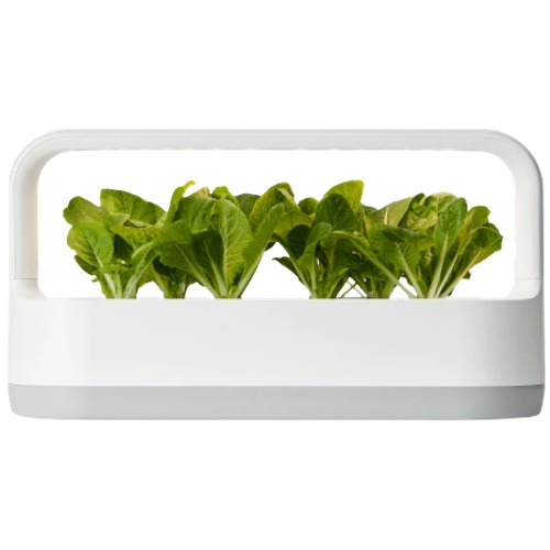 LG전자 틔운 미니 L011_이미지