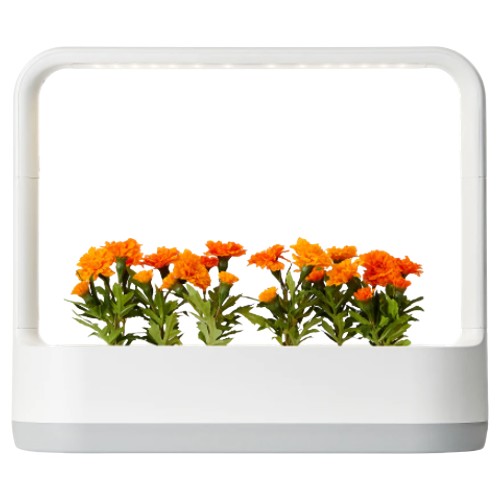 LG전자 틔운 미니 L011_이미지