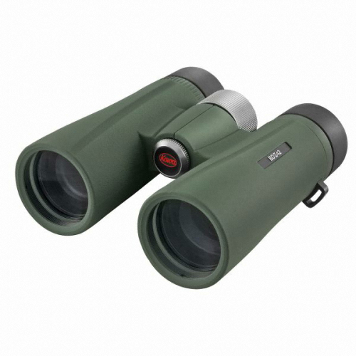 �ڿ� BD2 42-10XD ���ι̳� 10x42