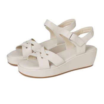 ����Ʈ ��� Amira ���̺��� ���� 1091845