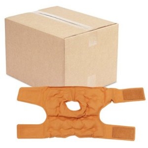 ���������� �������� Ȳ�� ������