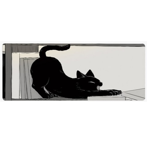 감성픽 고양이 캐릭터
