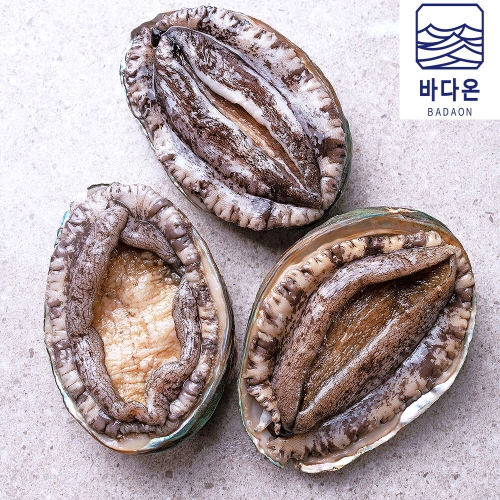 온프레시 완도활전복 9~10미 1kg (1개)_이미지