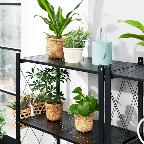 ��ǰ �� �̹���