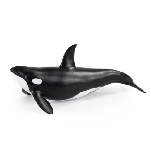 ��� ������ �ǱԾ�