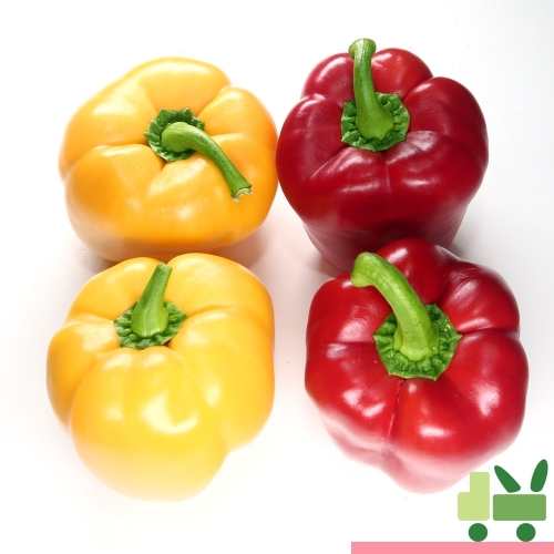 파프리카 5Kg 비품 빨강 1개