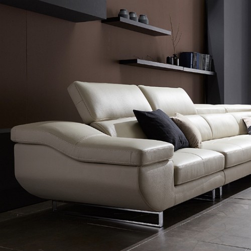 ����Ʈ Ʈ���� �ڳ� õ������ ���� 6�ο�