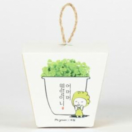꿈쟁이 그린패밀리 마마의 허브바질_이미지