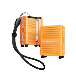 X 로우로우 에어팟 프로2 R TRUNK 케이스