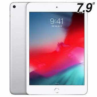 APPLE iPad mini 5세대 Cellular 해외구매