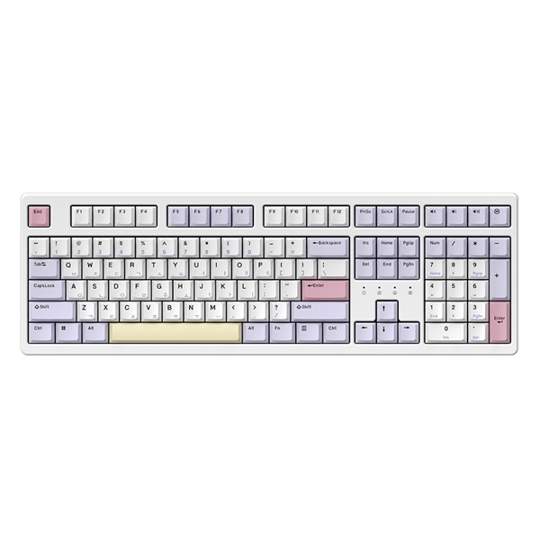 �Ѽ���ǻ�� TFG Cloud Max CF �����ȭ ������ ���� ������Ʈ