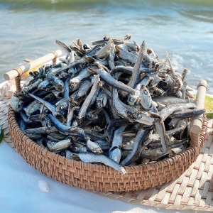 바다어보 통영 다시멸치 1.5kg 상급 남해멸치 국물멸치 대멸치_이미지