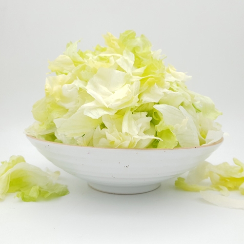 건강채소 양상추컷 샐러드 500g