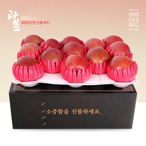 과일공선생 명품 사과선물세트 3kg 13과 내외