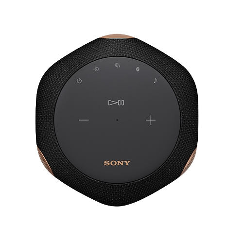 SONY SRS-RA3000 (중고)_이미지