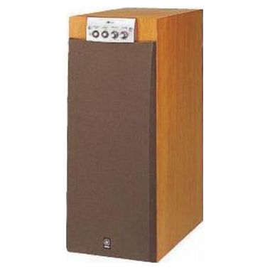 야마하 YST-SW305_이미지