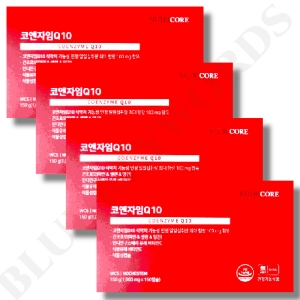 ��Ʈ���ھ� �ڿ�����Q10 150ĸ��
