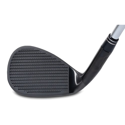 ���̽����� ĳ��Ʈ �е� �ͽ�Ʈ�� ������ 2.0 �Ǹ�Ż �޼� ����