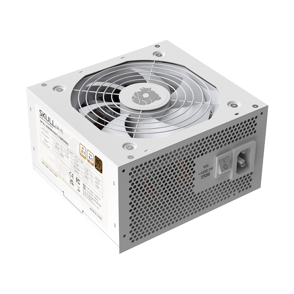 NEWZEN SKULL 850EM 80PLUS브론즈 ATX3.1 화이트_이미지